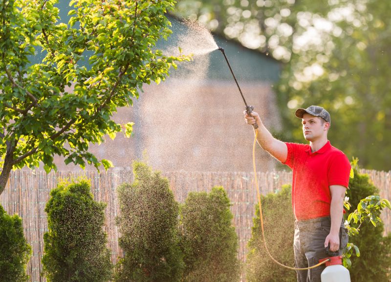 Local Tree Disease Treatment pros at work