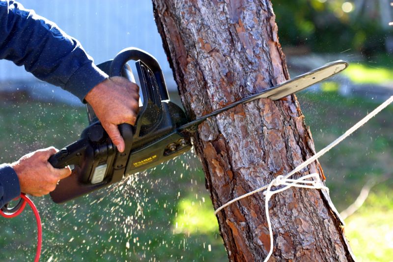 Tree Disease Treatment detail